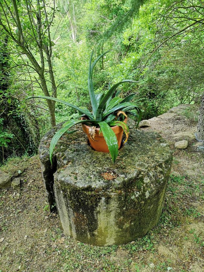 Casa Rural Ardetxal A 16Km De Logrono Y Laguardia Vinaspre Dış mekan fotoğraf